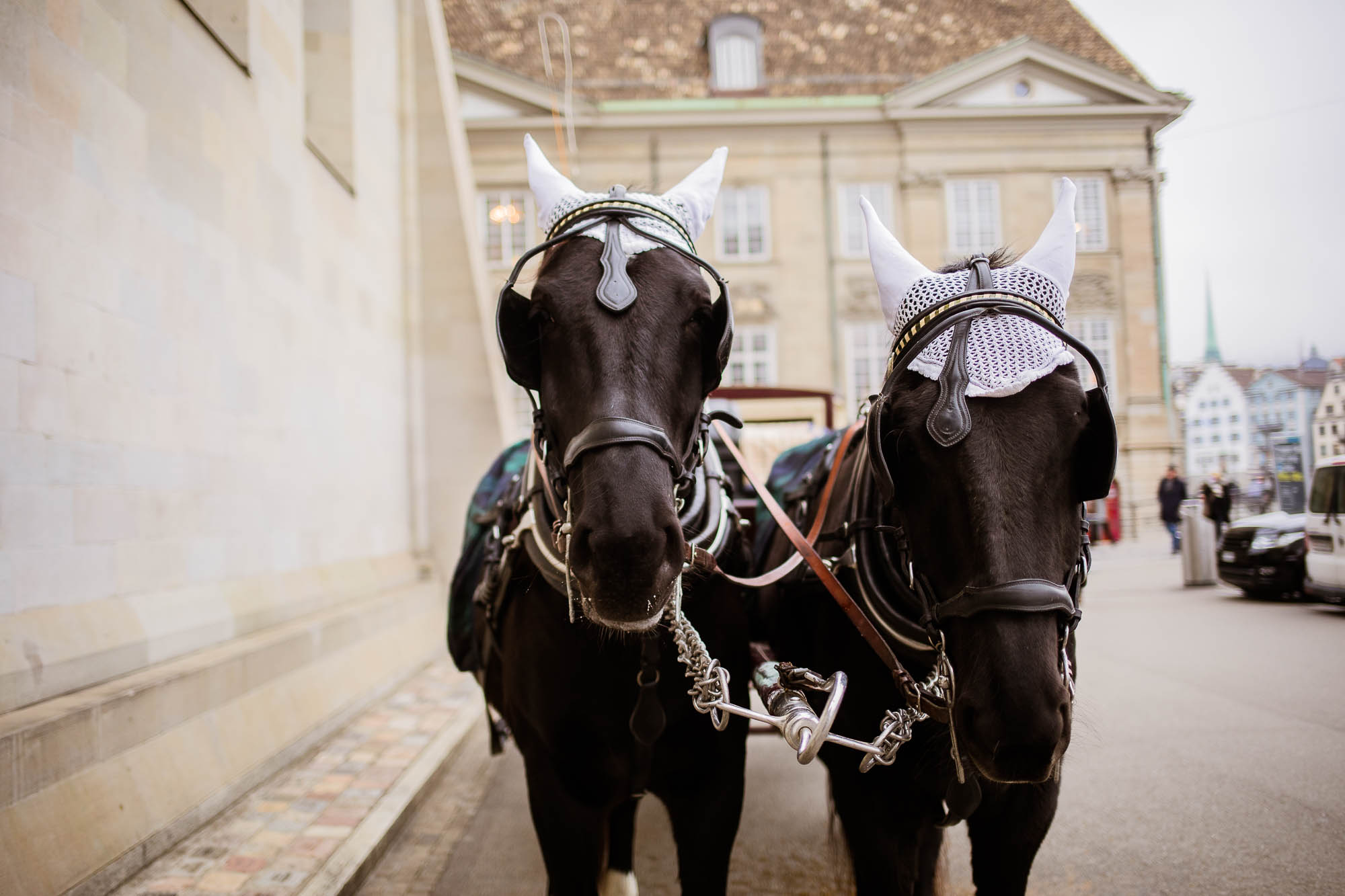 Export x3 5D4 0294 Hochzeit 2020 Andrea & Joel